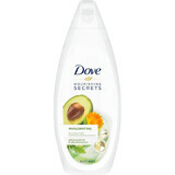 Gel de dus Invigorating, 225 ml, Dove