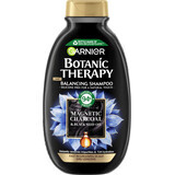 Garnier Botanic Therapy Shampoo Magnetic Charcoal & Schwarzkümmelöl, 250 ml