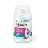 Echinacea-Extrakt, 30 Kapseln, Rotta Natura