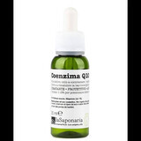 Activ pur cu Coenzima Q10, 30 ml, La Saponaria