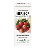 Cranberry-Knospen-Extrakt, 50 ml, Pflanzenextrakt