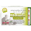 Purified Mumie resin extract with Propolis, 30 capsules, Damar General Trading