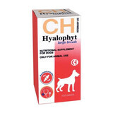 Nahrhaftes Gelenkergänzungsmittel für große Hunde Hyalophyt, 100 Tabletten, Chemical Iberica