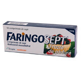 Faringosept fructe de padure, 10 comprimate, Terapia