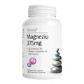 Magnesio 375mg con vitamina B6, 30 cápsulas, Alevia