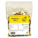 Bio-Frucht-Nuss-Schokoladen-Mix Tropical, 250 g, Managis