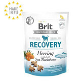 Snack pentru caini Recovery Herring, 150 g, Brit