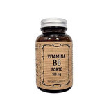Vitamin B6 Forte 100 mg, 60 Kapseln, Remedia