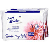 Sanft&Sicher SummerGefuhl feuchtes Toilettenpapier, 100 Stück.