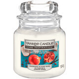 Yankee Candle Granatapfel-Kokosnuss-Duftkerze, 104 g