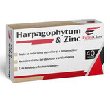 Harpagophytum & Zink, 40 Kapseln, FarmaClass