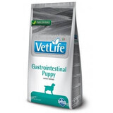 Hrana uscata pentru caini Gaostrintestinal Puppy, 2 Kg, Vet Life