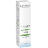 Dermedic Normacne Crema de fata hidratanta seboregulatoare , 40 ml