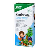 Kindervital flüssige Calcium- und Vitaminformel, 250 ml, Salus
