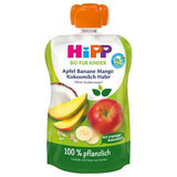 Apfelmus, Banane, Mango, Kokosnussmilch, Haferflocken 100g, 1 Jahr+, 100 g, Hipp