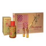 Anti-Aging-Paket für das Haar 12 Fläschchen + Shampoo 150 ml, Bes Beauty & Science