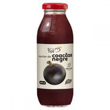 Blackcurrant nectar without sugar Bun de Tot, 300 ml, Dacia Plant