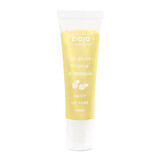 Lip Care Ananas-Lipgloss, 12 ml, Ziaja