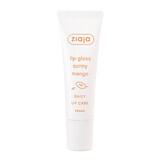 Lip Care Mango-Lipgloss, 12 ml, Ziaja