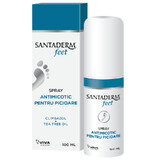 Santaderm 4feet Antifungal Foot Spray, 100 ml, Viva Pharma