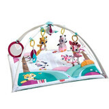 Princess Tales, Gymini Deluxe, Tiny Love play centre