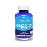 Ginkgo 120 Stengel, 120 Kapseln, Herbagetic