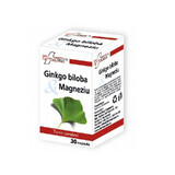 Ginkgo Biloba & Magnesium, 30 Kapseln, FarmaClass