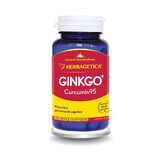 Ginkgo Curcumin95, 60 Kapseln, Herbagetica