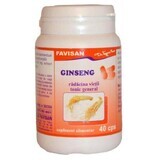 Ginseng, 40 Kapseln, Favisan