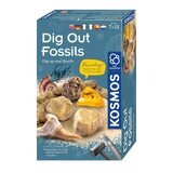 Educational Set Ancient Fossil Stem, +7 years, Kosmos