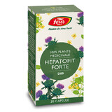 Hepatofit Forte D80, 30 cápsulas, Fares