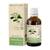 HerboTensin Tinktur (Spannungsregler), 50 ml, Dacia Plant