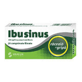 Ibusinus Mittel gegen Erkältung und Grippe, 20 Tabletten, Solacium Pharma