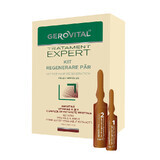 Haar-Regenerations-Kit Gerovital Expert Behandlung, 10 Fläschchen x 10 ml, 10 Fläschchen x 5 ml , Farmec