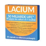 Lacium 50 miliarde UFC, 10 capsule, Zdrovit