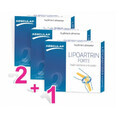 Lipoartrin Forte, 24 tablets, Aesculap (price is for 3 boxes)