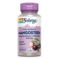 Mangostan 500mg Solaray, 60 Kapseln, Secom