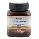 Miere de Manuka MGO 850+, 250g, Melora