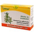 Rosemary Gemoderivat, 30 single doses, Hofigal