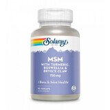 MSM 750 mg Solaray, 90 vegetarische Kapseln, Secom