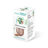 MSM Complex, 30 capsule, Rotta Natura