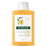 Nourishing shampoo with mango butter for dry hair, 200 ml, Klorane