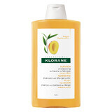 Nourishing shampoo with mango butter for dry hair, 400 ml, Klorane