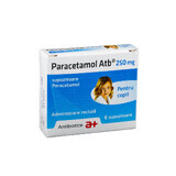 Paracetamol, 250 mg, 6 supozitoare, Antibiotice SA
