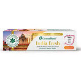 India Fresh GennaDent natürliche Zahnpasta mit Neem und Kurkuma, 80 ml, Vivanatura