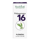 Polygemma 16, Lunge, 50 ml, Plant Extrakt