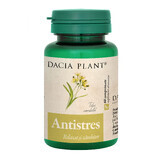 Antistress, 60 Tabletten, Dacia Plant