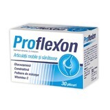 Proflexon, 30 Portionsbeutel, Natur Produkt