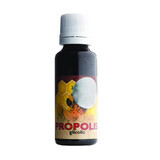 Propolis glykolisch, 30 ml, Parapharm