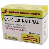 Salicylol Natural, 60 Tabletten, Hofigal